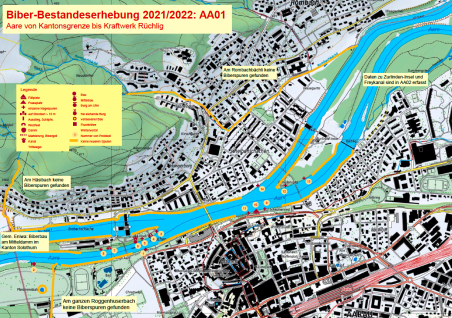 Biber-Bestandeserhebung 2021/2022: AA01 Aare von Kantonsgrenze bis Kraftwerk Rüchlig