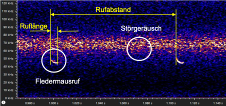 Spektrotramm Ruffrequenz