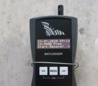 Batlogger Elekon Luzern