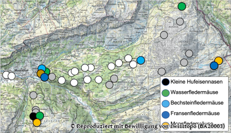 Höhlenfunde von Fledermausarten ohne Rufnachweise