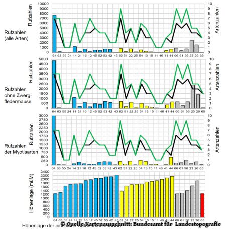 Darstellung Artenvielfalt, Rufzahlen, Lebensraumtyp und Höhenlagen innerhalb der Lebensraumtypen (Blau: Waldrand; Gelb: Wald; Grau: Ortschaft; Rot: Uferstreifen am Rom)