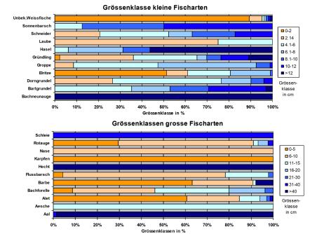 Grössenklassen Fischarten Grössenklassen Fischarten